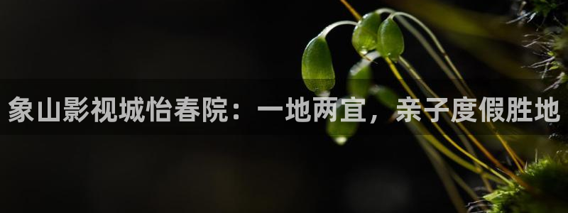 精东影业传媒网站进入