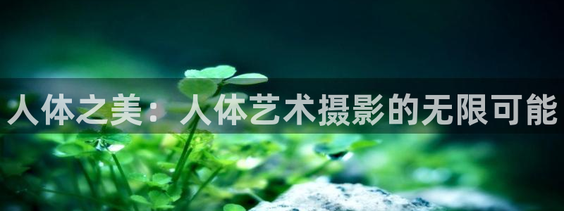 天美传媒精东影业皇家华人